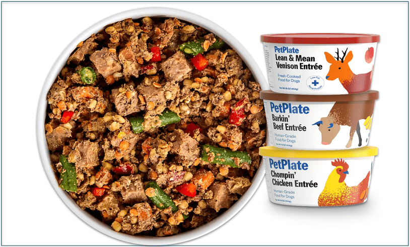 a fresh PetPlate meal in a bowl with a stack of three fresh containers to the right