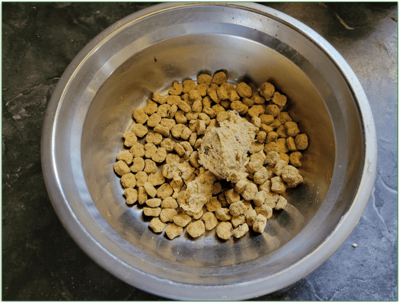 An Ollie meal being used as a topper by our reviewer along with his dogs normal kibble meal