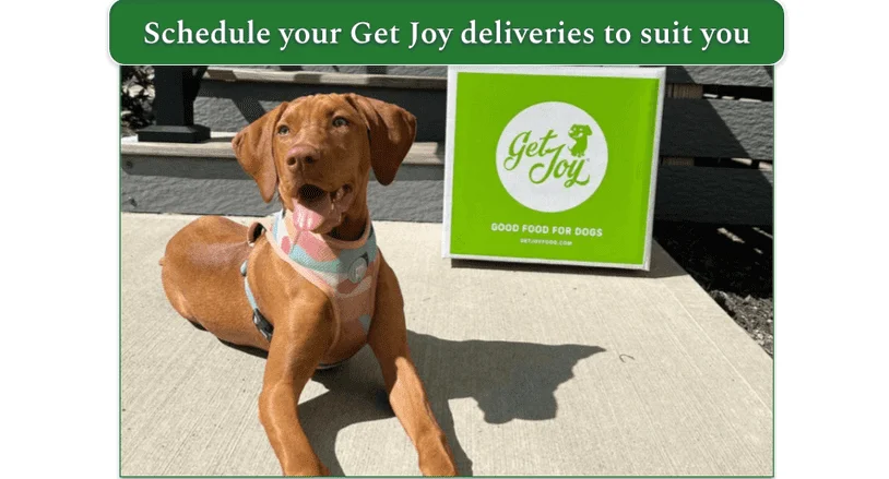 A dog lying next to a Get Joy delivery box