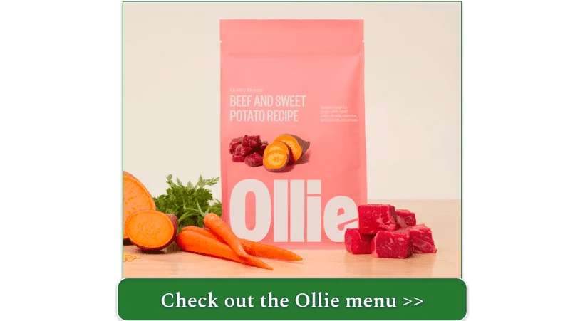 Ollie's Beef and Sweet Potato Recipe
