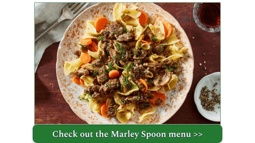 A plate of beef stroganoff over noodles