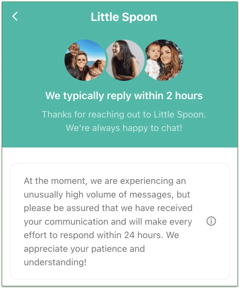 a screenshot of little spoon's live chat support