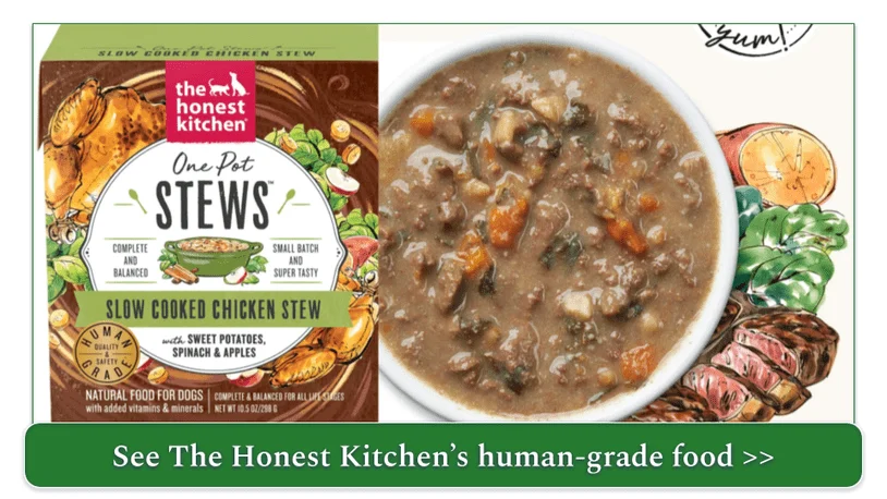 The Honest Kitchen's Chicken One-Pot Stew recipe in packaging and served in a bowl