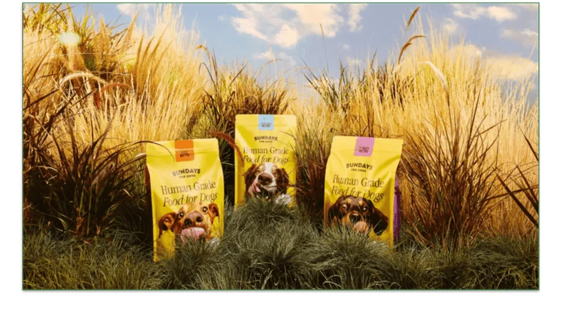 Sundays' 3 recipe bags displayed in a field