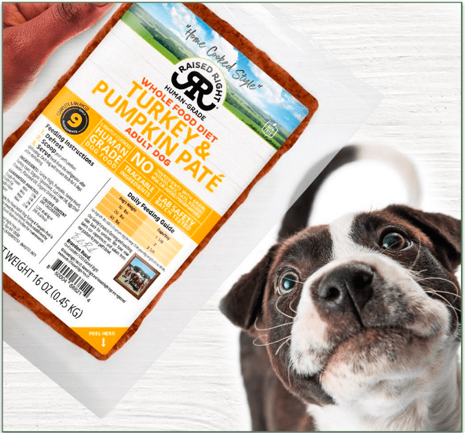 A pit bull mix looking up longingly at a bag of Raised Right Turkey & Pumpkin Paté