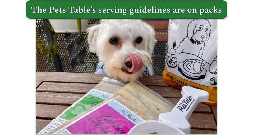 Dog sitting in front of empty The Pets Table's meal packages with printed guidelines for serving