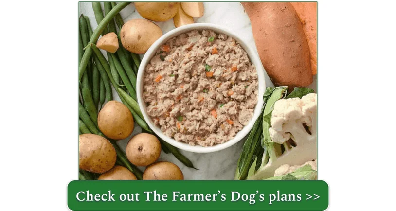 A bowl of The Farmer's Dog Turkey Recipe, surrounded by some of the ingredients used