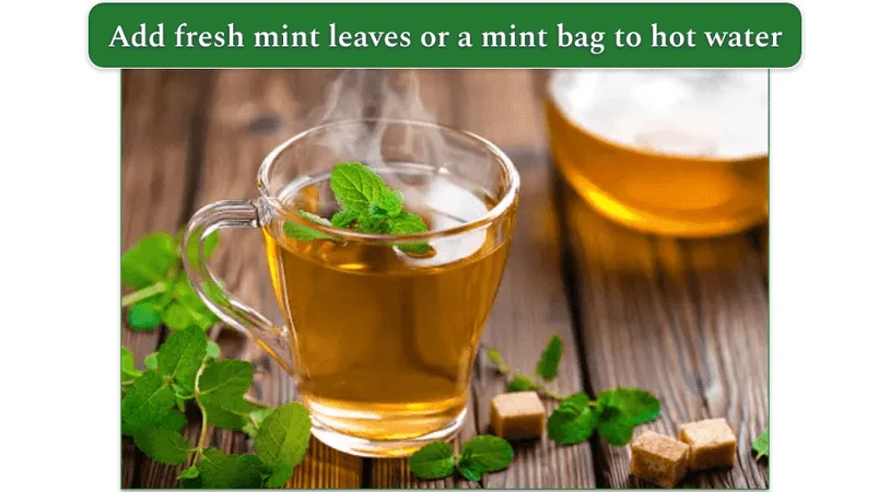 A cup of mint tea with fresh mint leaves in it and next to it