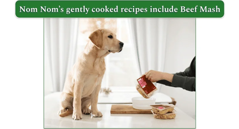 Puppy on the counter next to Nom Nom Beef Mash being served in a bowl