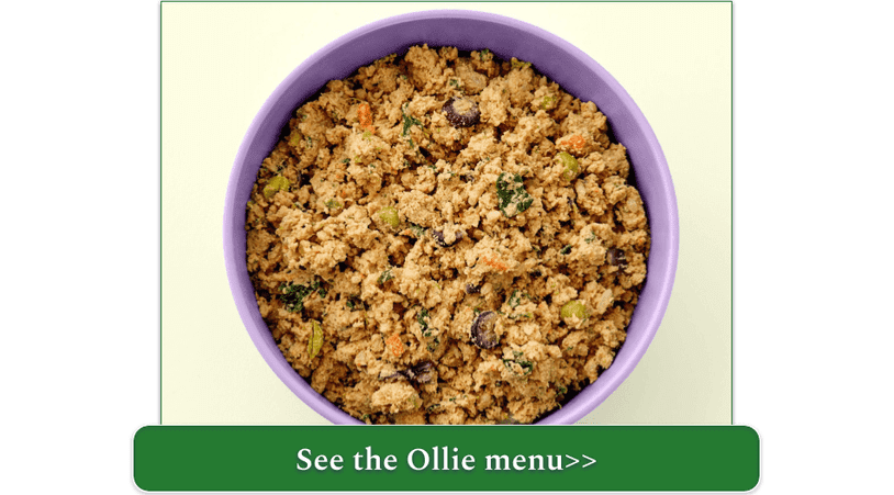 Ollie's fresh Turkey Recipe in a purple bowl