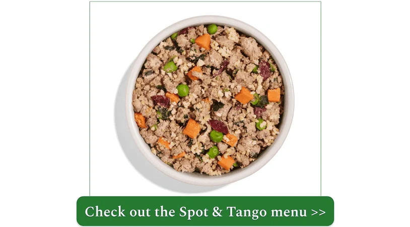 Spot & Tango's Beef + Millet recipe