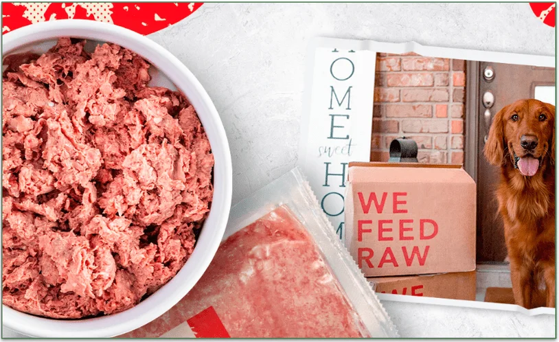  A bowl of We Feed Raw beef recipe beside a picture of an Irish Setter