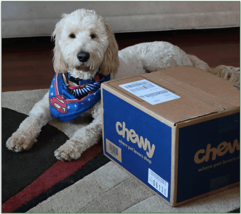 Our reviewers dog sitting next to the Chewy box