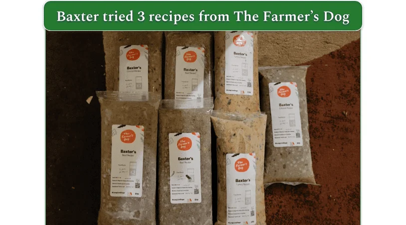 Photo of 7 packs of The Farmer's Dog meals in 3 different flavors