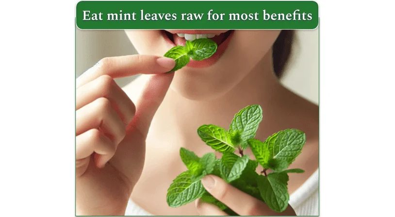 An image showing a person eating raw mint leaves.
