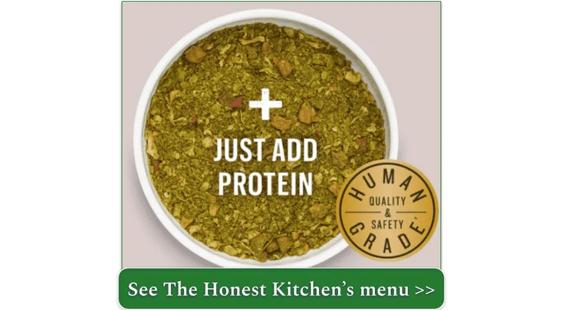 The Honest Kitchen's Whole Grain Veggie & Fruit Dehydrated Base Mix