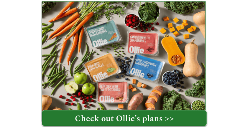 Selection of fresh Ollie meals surrounded by fresh food