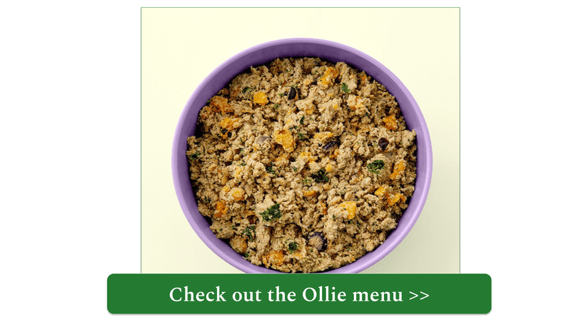 Ollie fresh turkey meal in purple bowl