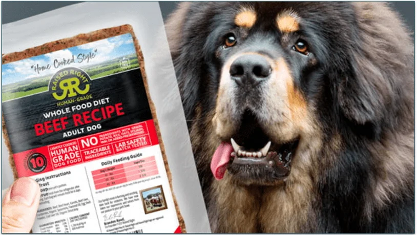 Raised Right's Beef Recipe and a hairy dog next to it