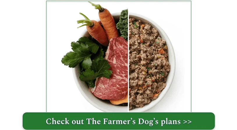The Farmer's Dog Beef recipe with fresh ingredients