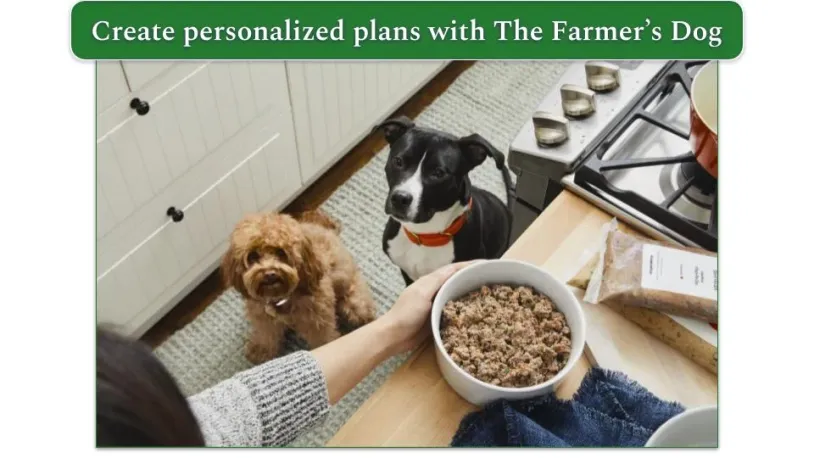 Image of a person about to serve a bowl of fresh food to their 2 sitting dogs