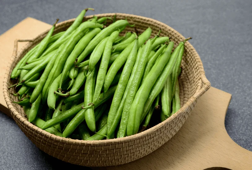 Basket full of fresh green beans