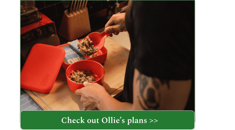 Scooping Ollie fresh Turkey meal