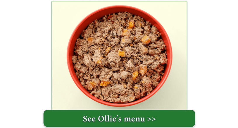 Ollie fresh lamb meal in red bowl