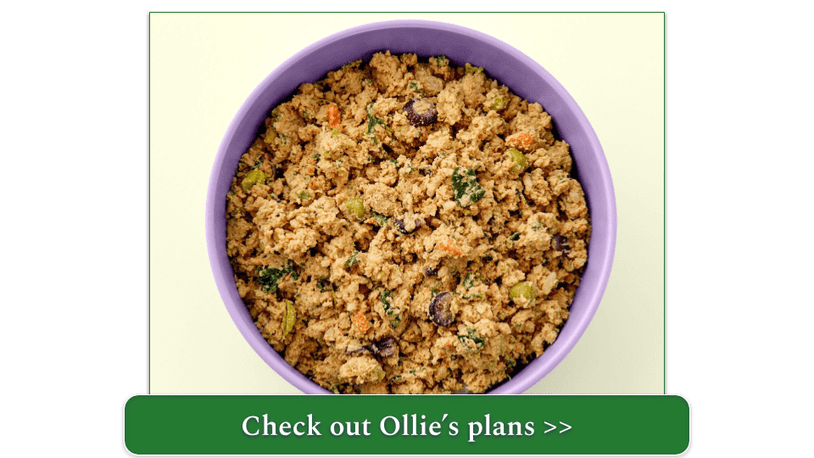 Ollie's fresh chicken recipe in a purple bowl
