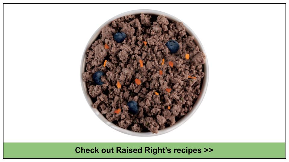 8 Best Food For Cats With Allergies 2024