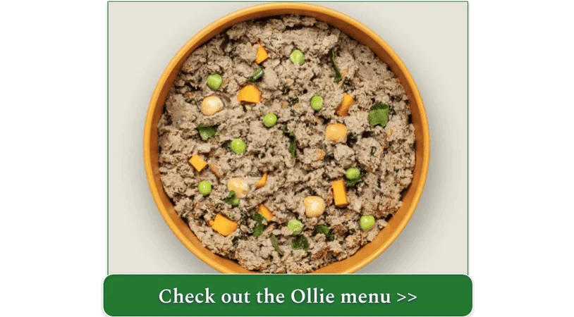 Ollie's Fresh Beef with Sweet Potatoes