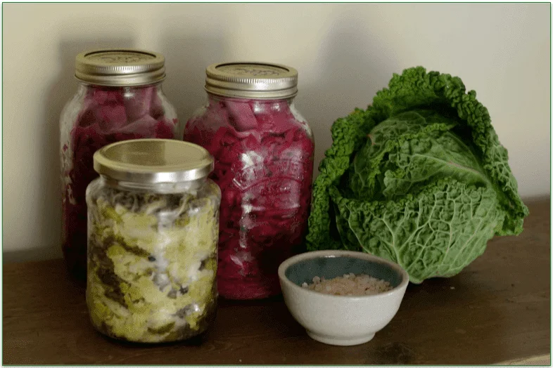 Fermented foods in jars and a cabbage