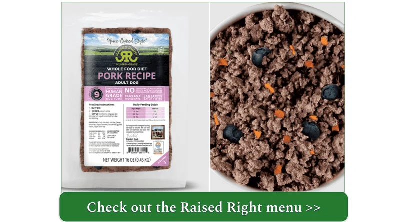 Raised Right's Pork recipe for adult dogs