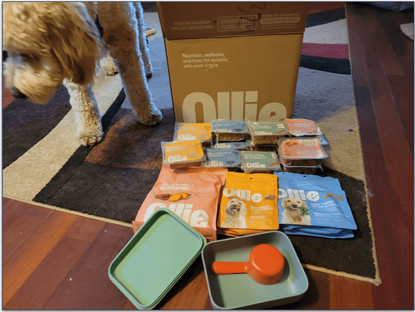 Unboxed Ollie delivery on the floor