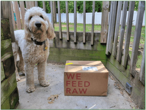 A Goldendoodle standing next to a We Feed Raw delivery box