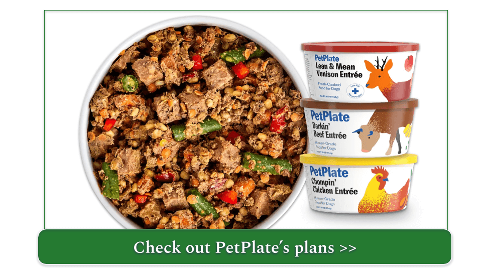 a fresh PetPlate meal in a bowl with a stack of three fresh containers to the right