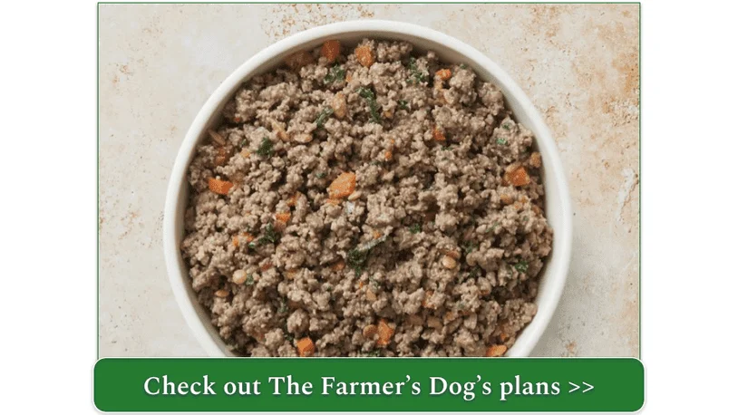 Bowl of The Farmer's Dog Beef recipe