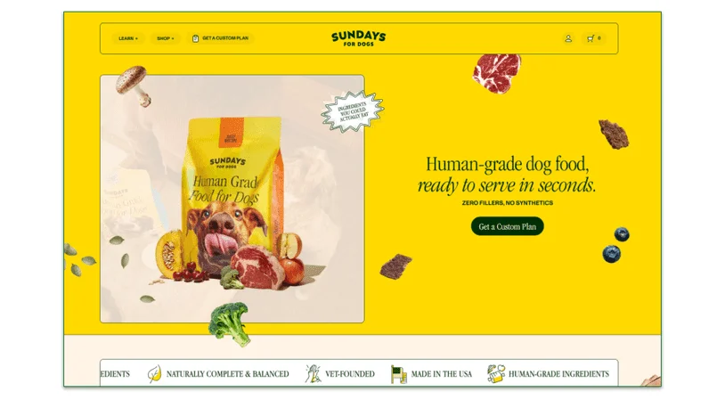 Sundays for Dogs homepage