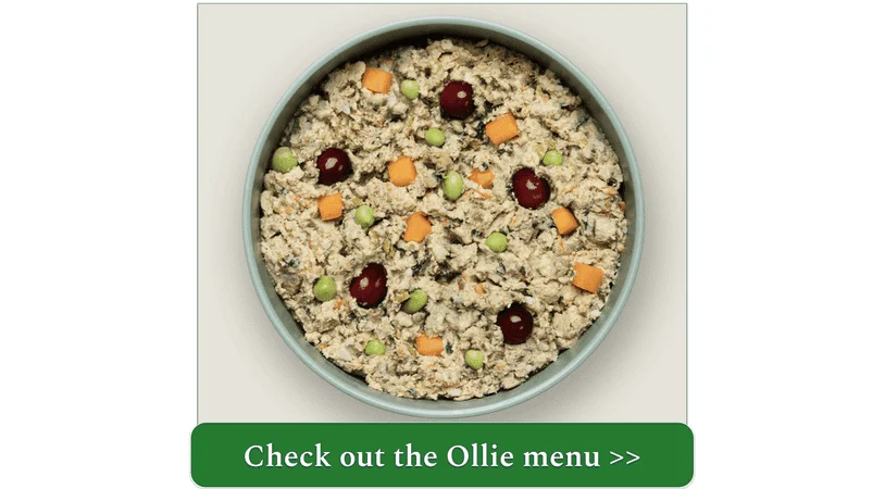 ollie menu, chicken recipe