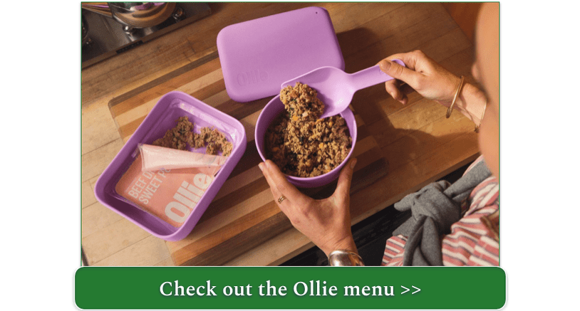 Scooping Ollie fresh beef meal