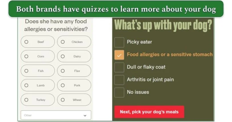 Ollie's and Nom Nom's quizzes