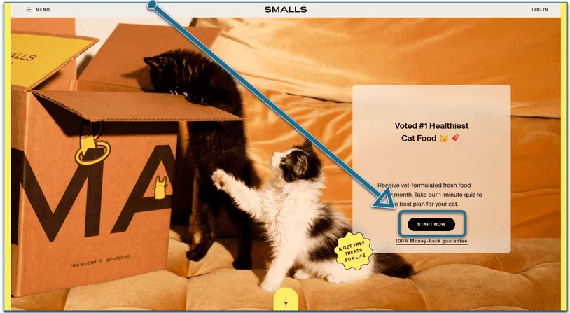 Screenshot of the Smalls homepage with Start Now highlighted
