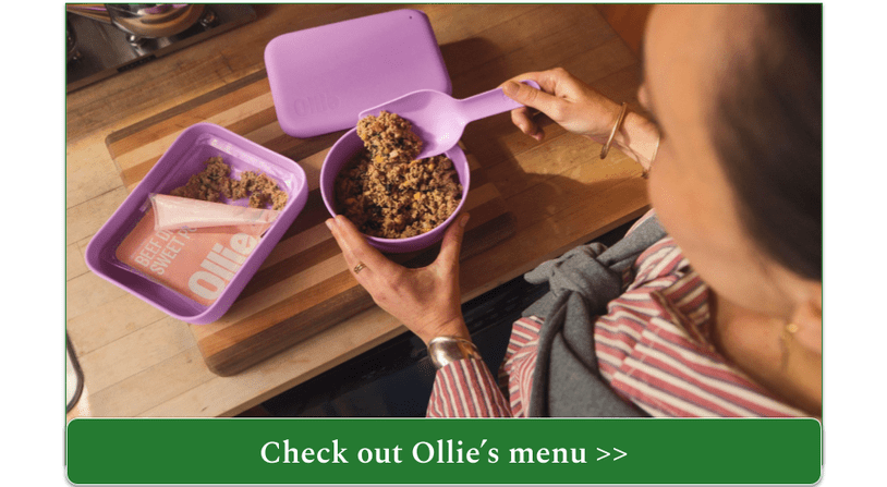 Scooping Ollie fresh beef meal