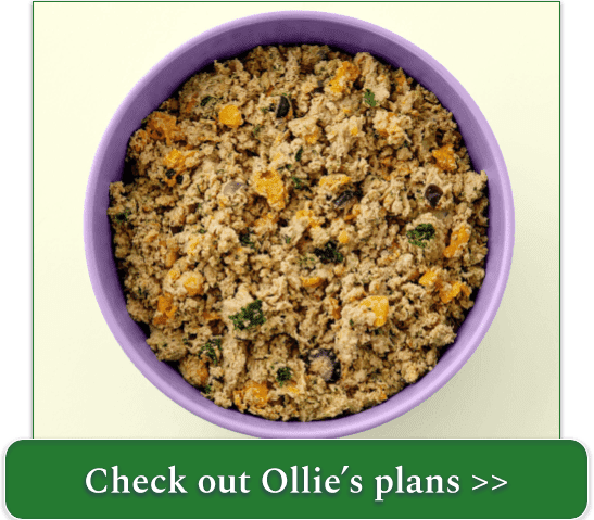 Ollie's fresh Turkey Recipe in a purple bowl