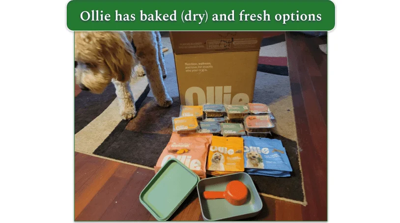 A selection of meals and treats from Ollie