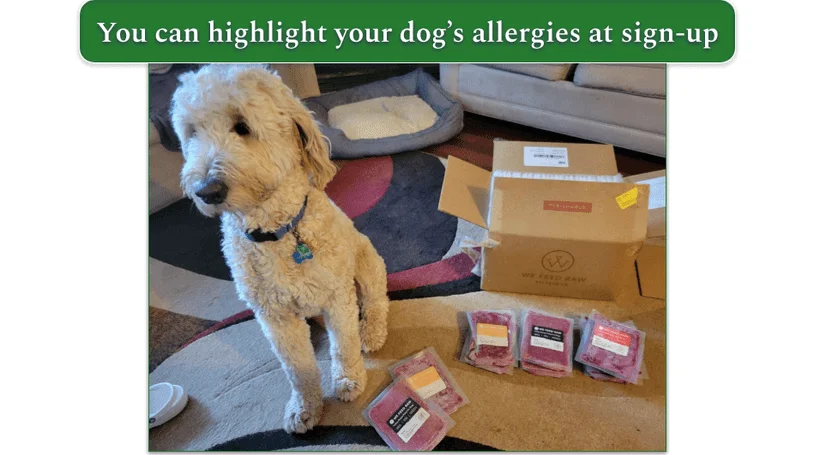 Our reviewers dog sitting next to We Feed Raw packages