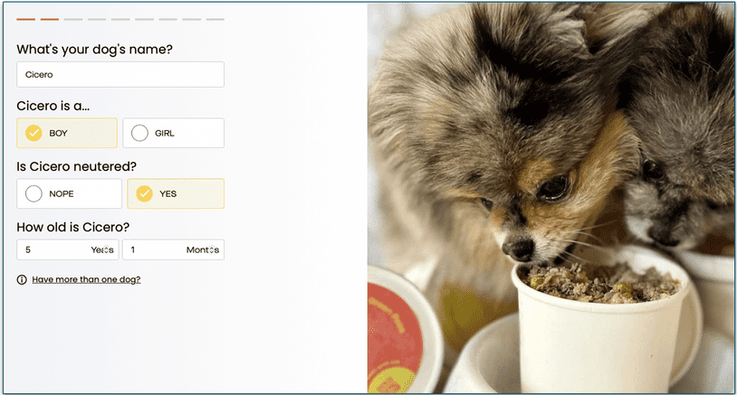 A screenshot from the StayLabs questionnaire