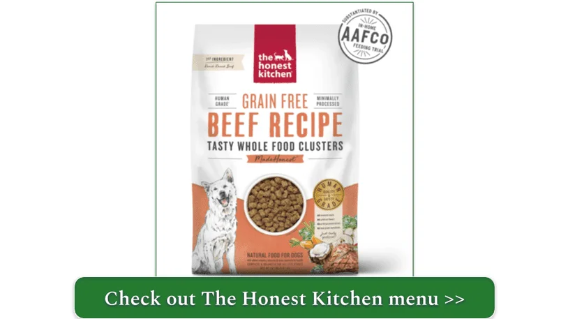 The Honest Kitchen's chicken stew