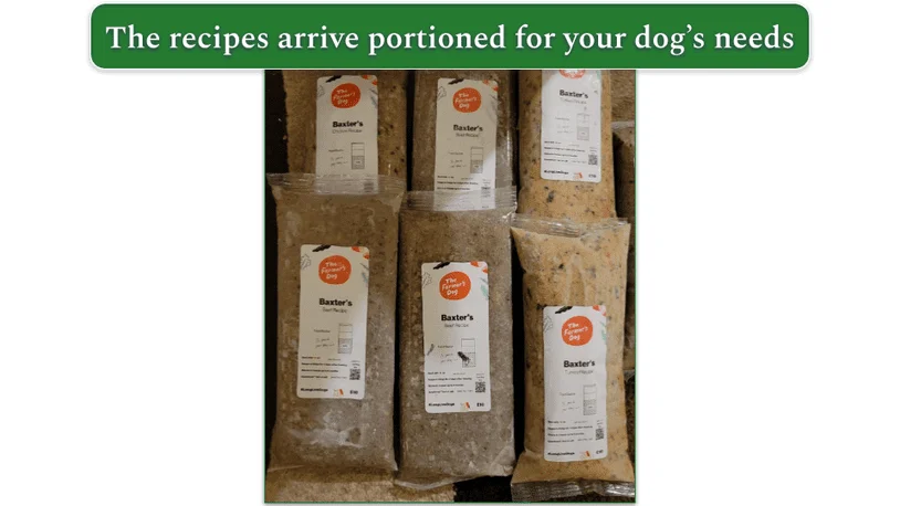 Image of The Farmer's Dog recipes as they arrived in the box