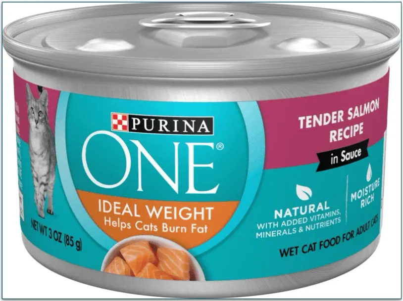 Image if a can of Purina ONE Salmon